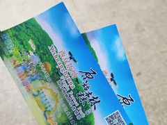 -西双版纳原始森林公园