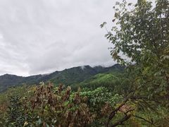 -小飞侠奢侈品回收 寄卖 养护(宝山宝龙广场店)