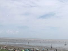 -南汇新城海滩