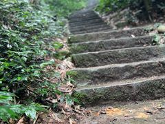 -缙云山景区