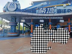 -海合安青岛极地海洋公园