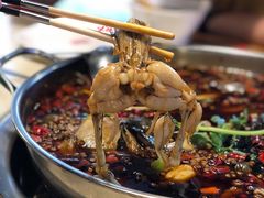 -味之绝热血美蛙鱼火锅(中坝店)