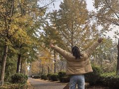 -白鹭湾湿地公园