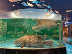 -都市阳光海鲜城(青山湖店)