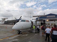 -奥利弗·雷金纳德·坦博国际机场