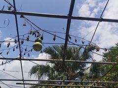 -广州神农草堂中医药博物馆