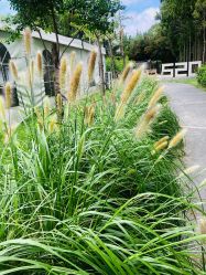 -前小桔亲子创意农场·草莓采摘·露营烧烤
