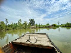 -池杉湖湿地公园