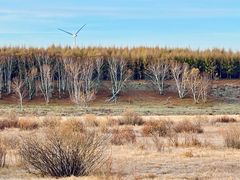 -塞罕坝国家级自然保护区