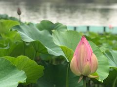 -湘湖大院(越王路店)