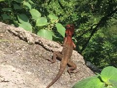-太和古洞