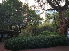 -九龙公园