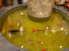 -古莲·影院足道·按摩SPA(水上温泉店)