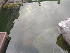 -香积寺