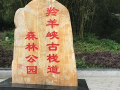 -羚羊峡古栈道森林公园