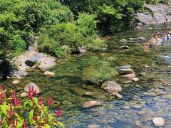 -石台牯牛降景区
