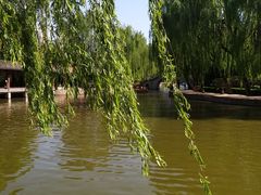 -团结湖公园