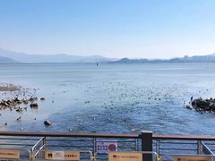 -深圳湾公园(南山区)