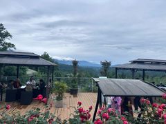 -中国大熊猫保护研究中心雅安碧峰峡基地