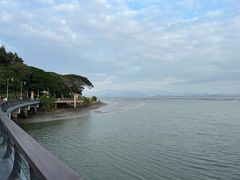 -深圳湾公园(南山区)