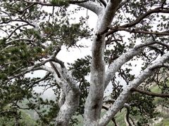-少华山国家森林公园