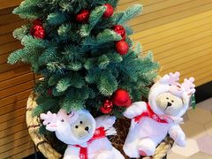 -星巴克(洛阳中州路王府井店)