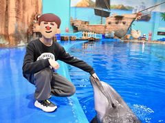 -华夏文旅海洋公园