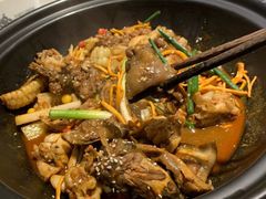 荷塘甲鱼-笨笨甲甲鱼坊(蓝堡湾店)