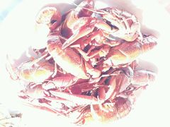 android_upload_pic-可可大虾武汉土菜大排档(万松园1店)
