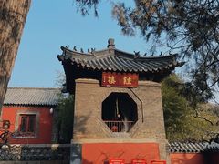 -泰山风景名胜区-普照寺