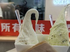 -野人先生现做冰淇淋(西安赛格店)