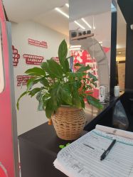 -魔型社烫染店