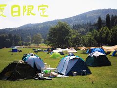 -武陵山森林公园