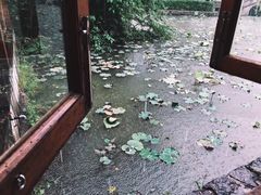 -石榴院子(西施故里店)