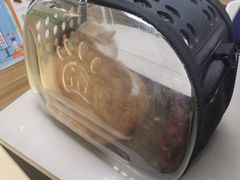 -爱侣宠医·鹦鹉专科·小型哺乳类·异宠专科(灵石路店)