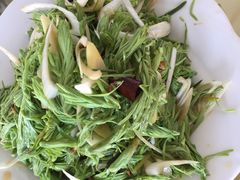 -乌兰布统草原
