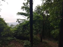 -广州市帽峰山景区