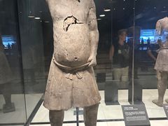 -秦始皇帝陵博物院-丽山园
