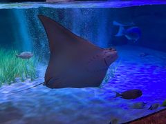 -沈阳海洋探索中心