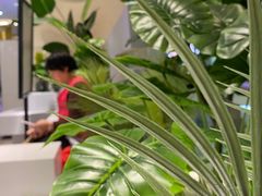 -叶子与茶(苏宁广场店)
