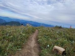 -白草畔自然风景区