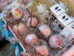 -蛙来哒(汇一城黑金冠店)