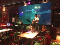 -猫头婴小酒馆FUN OWL(1912店)
