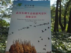 -东湖落雁景区