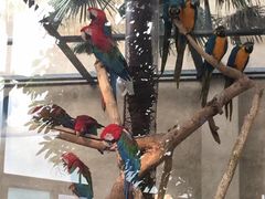 -大连森林动物园