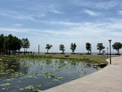 -滆湖低碳生态公园