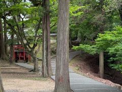 -奈良公园