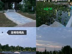 -0317火锅鸡·清真(正达店)