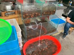 水产区-马胖龙虾烧烤