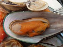 -威珀斯酒店·珀萃美食餐厅 | 海鲜刺身·现烤生蚝·特色烤肉